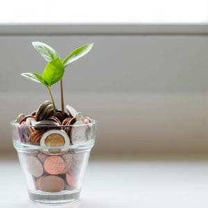 Jar of pennies with a seedling in them